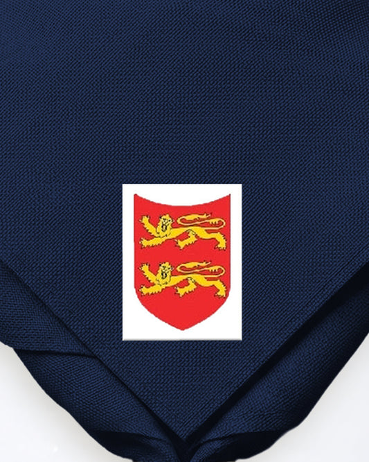 1st Battle Scout Group