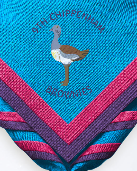 Zoom Necker 9th Chippenham Brownies Neckers