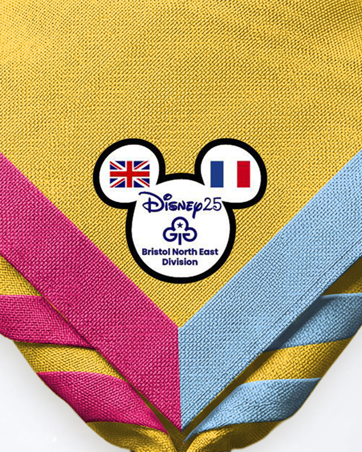 Bristol North East Division