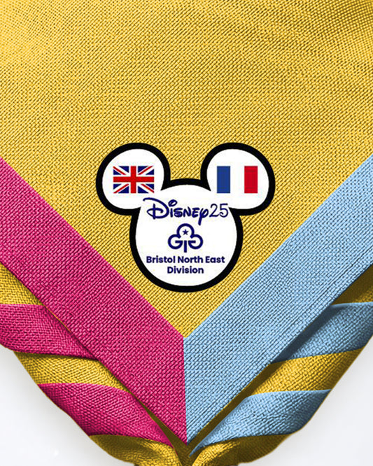 Bristol North East Division