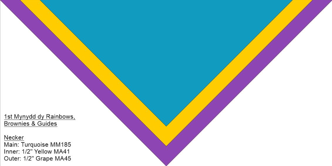 1st Mynydd Dy Rainbows Brownies & Guides