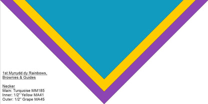 1st Mynydd Dy Rainbows Brownies & Guides