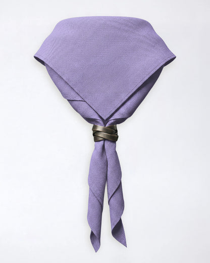 Pañuelo de cuello del condado de Warwickshire