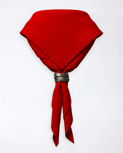 Pañuelo de cuello del condado de Warwickshire