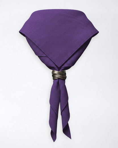 Pañuelo de cuello del condado de Warwickshire