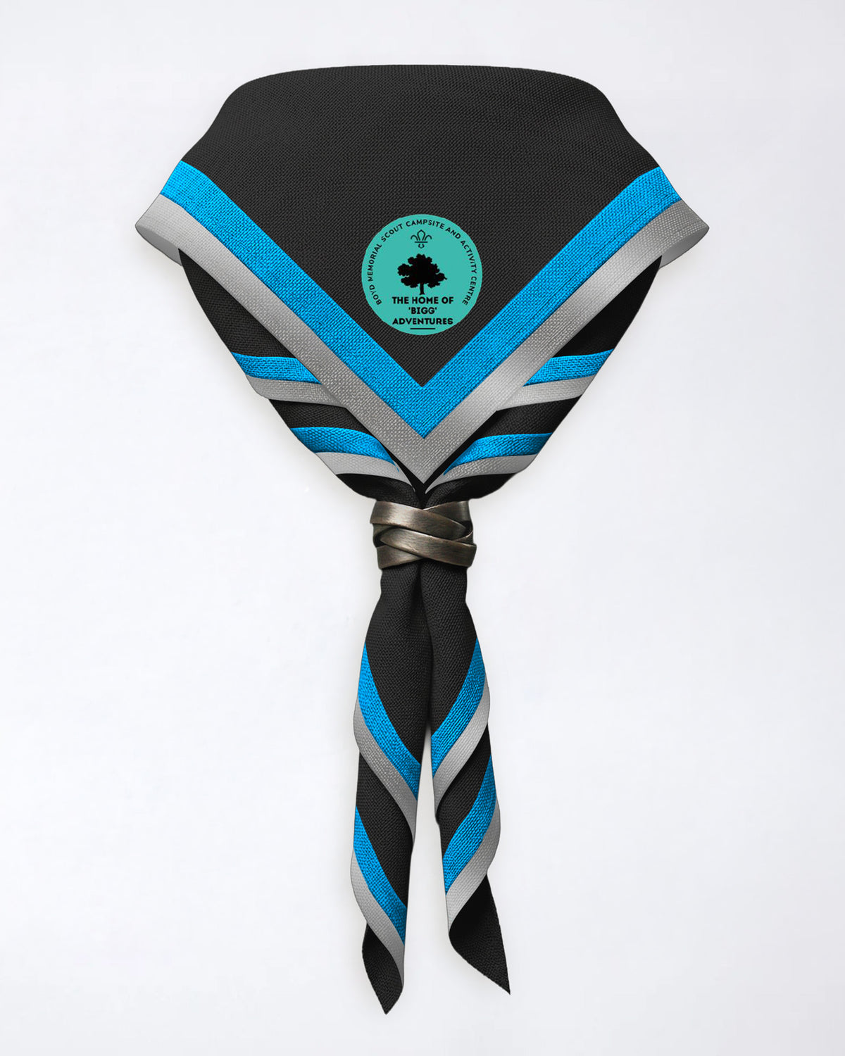 Biggleswade District Scouts