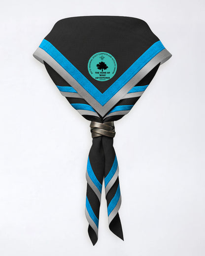 Biggleswade District Scouts