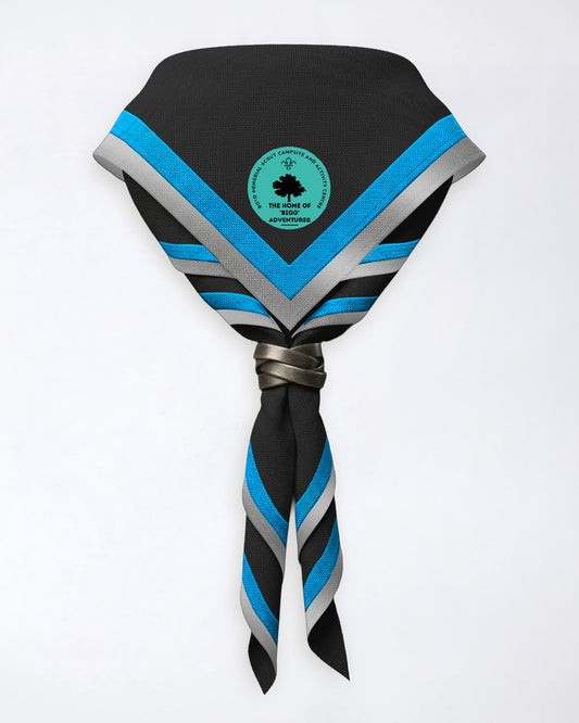 Biggleswade District Scouts