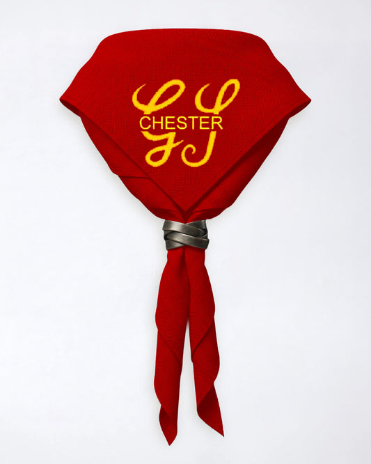 Chester Gangshow Full Necker