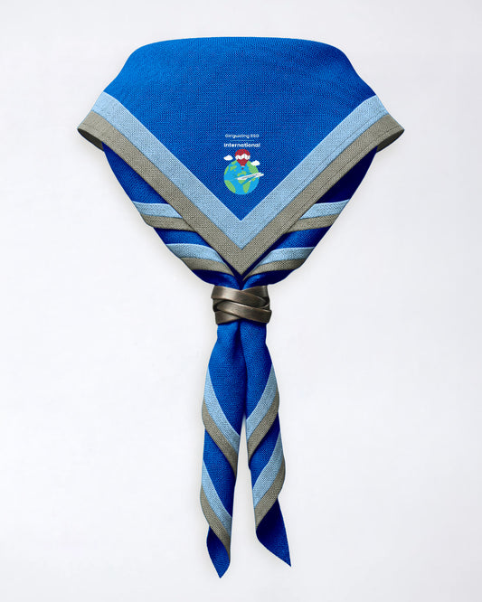 Girlguiding BSG