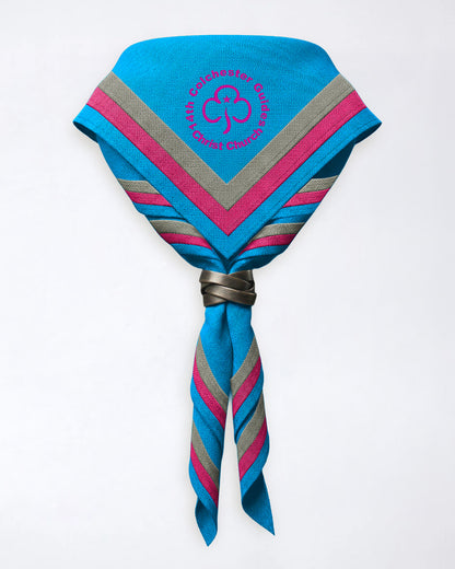 Full Necker 14th Colchester Guides