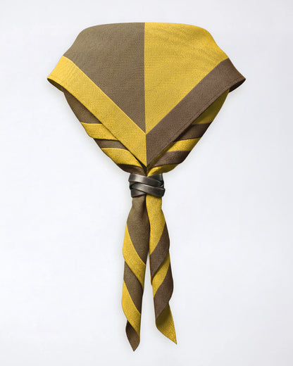 1st Furze Platt Brownies - Full