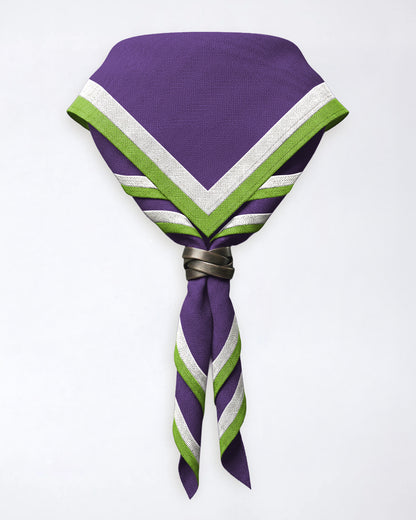 2nd Hertford Guides