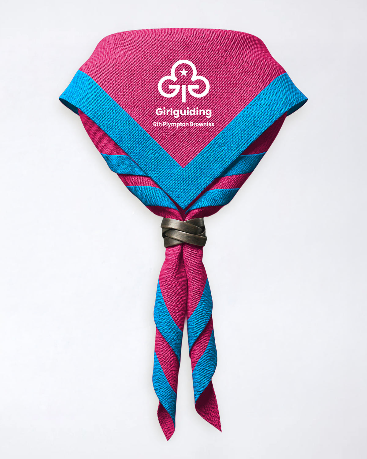 6th Plympton Brownies full necker