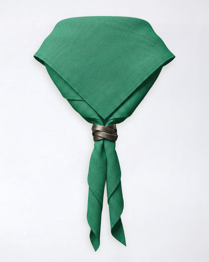 Pañuelo de cuello del condado de Warwickshire