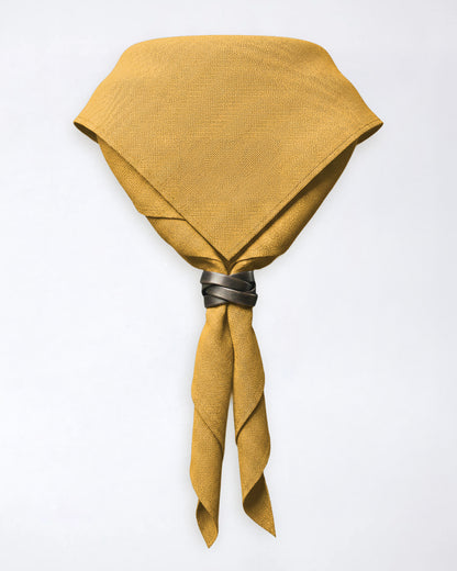 Pañuelo de cuello del condado de Warwickshire