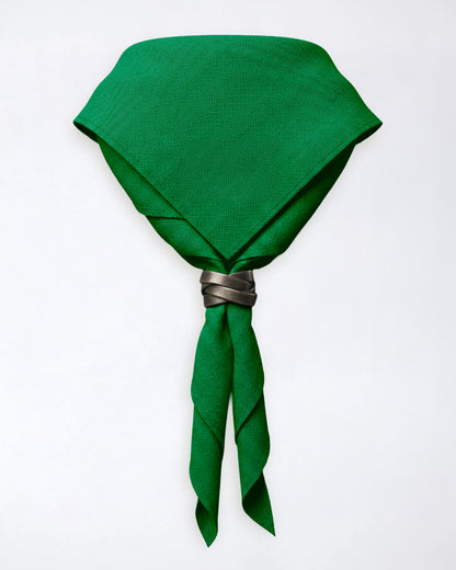 Pañuelo de cuello del condado de Warwickshire