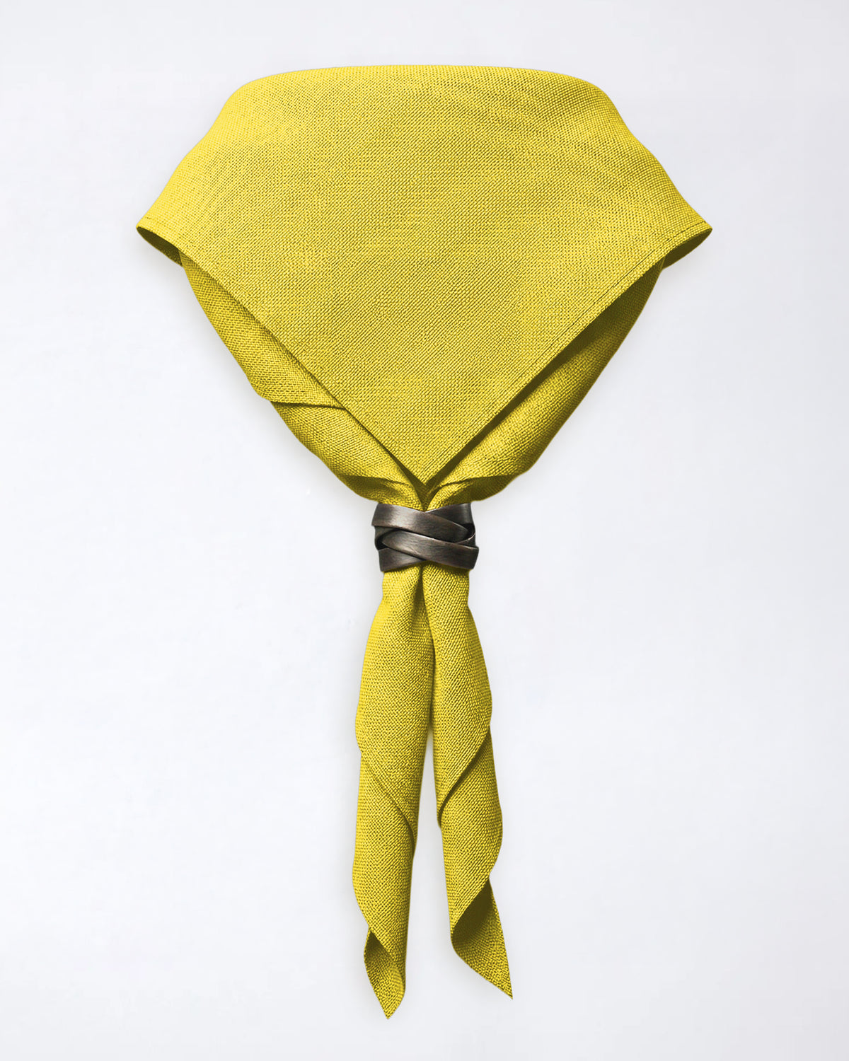 Pañuelo de cuello del condado de Warwickshire