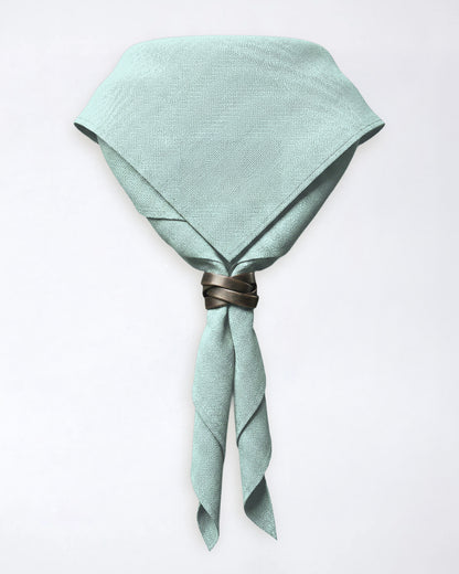 Pañuelo de cuello del condado de Warwickshire