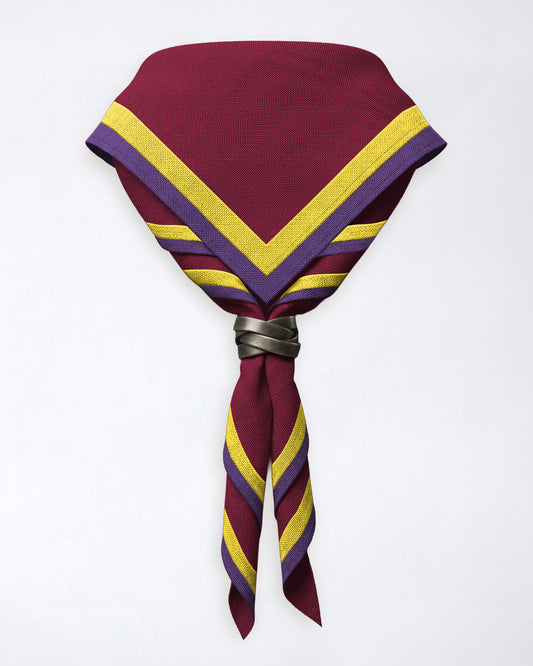 St Thomas More Scout Group