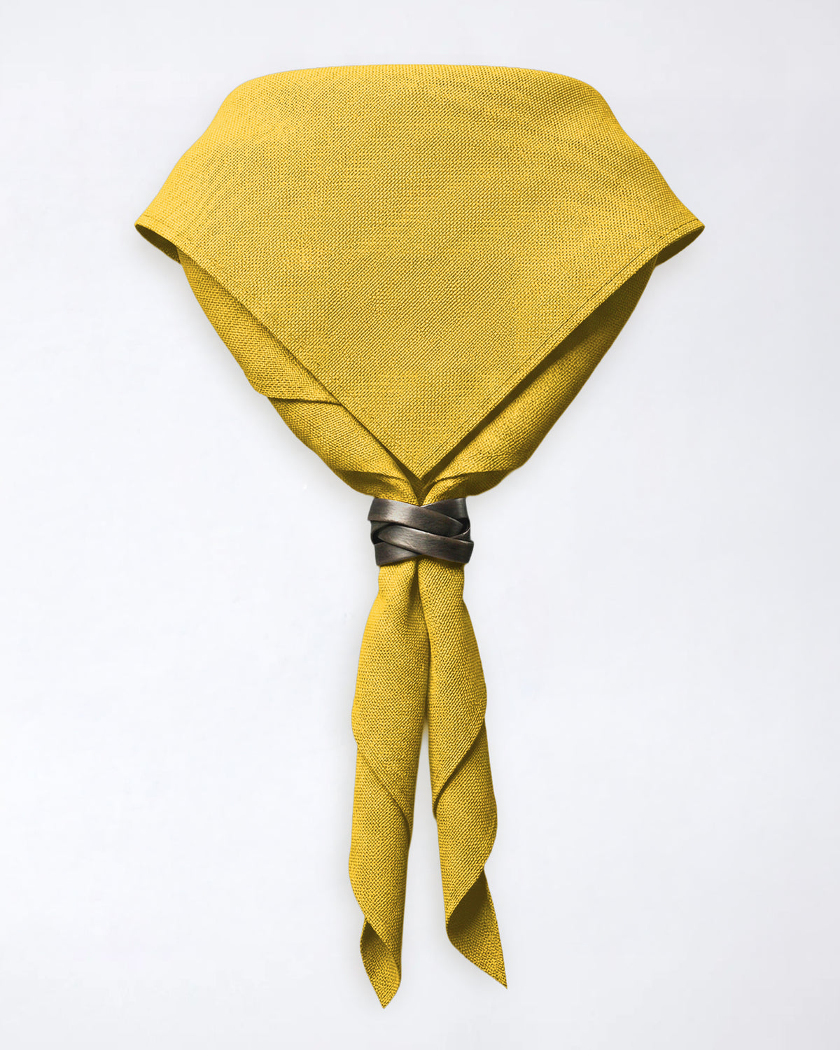 Pañuelo de cuello del condado de Warwickshire