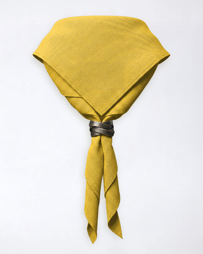Pañuelo de cuello del condado de Warwickshire