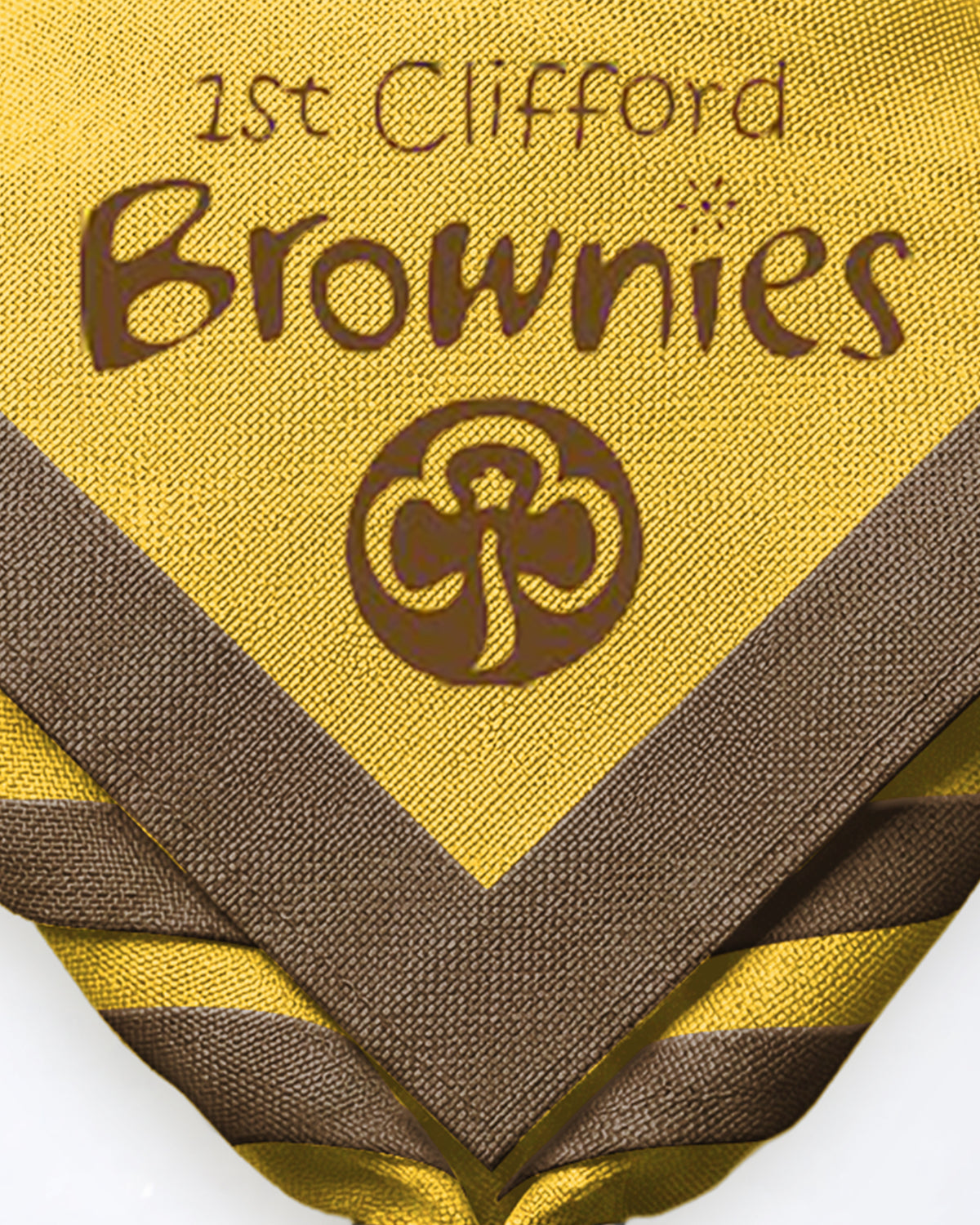 1st Clifford Brownies Zoom Necker