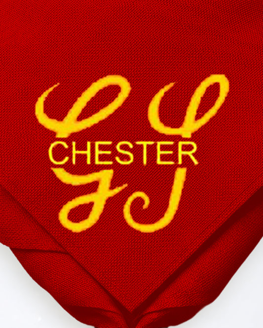Chester Gangshow Zoom Necker