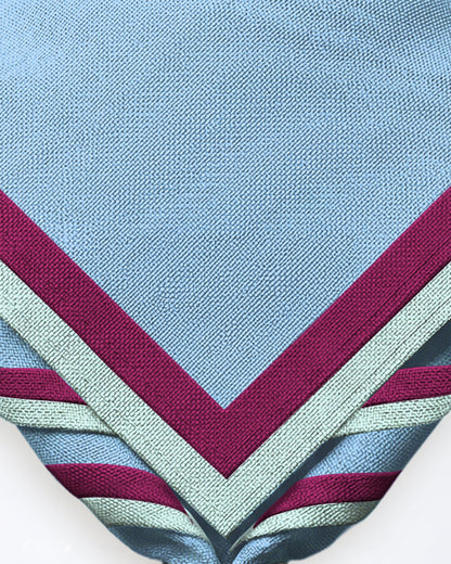 Zoom Necker 1st Thame Guides