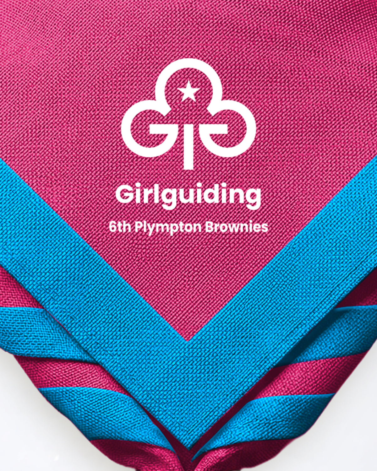 6th Plympton Brownies zoom necker