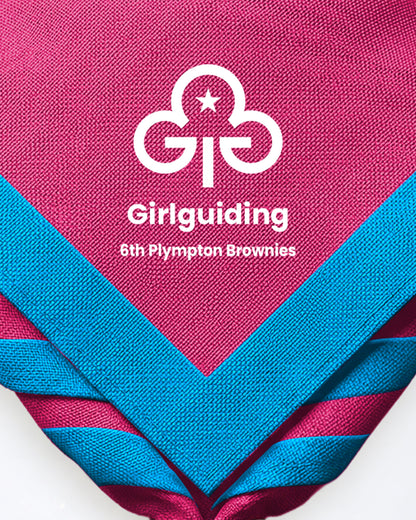 6th Plympton Brownies zoom necker