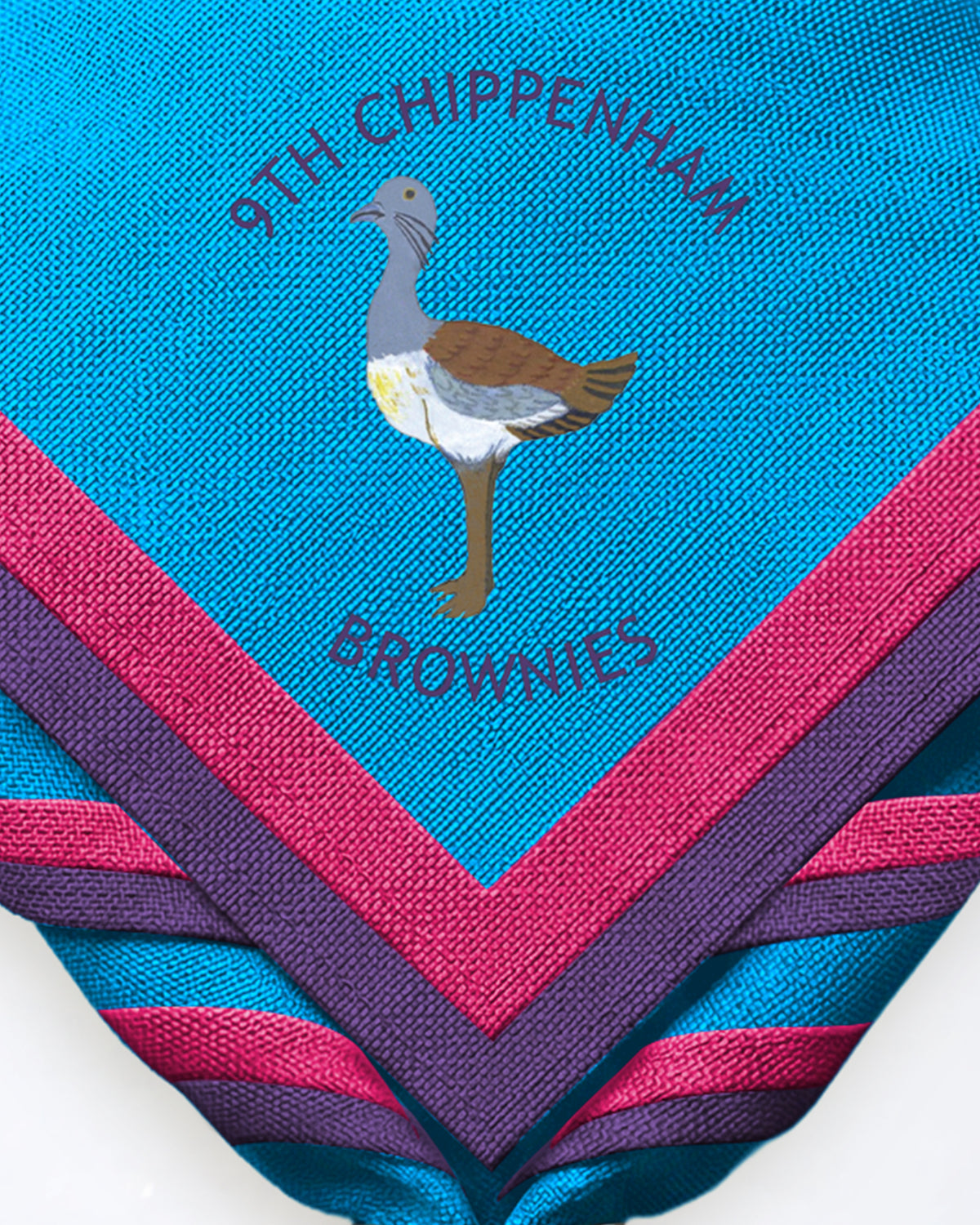 Zoom Necker 9th Chippenham Brownies Neckers