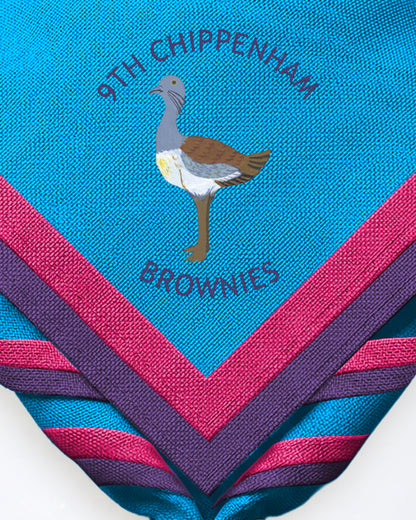 Zoom Necker 9th Chippenham Brownies Neckers