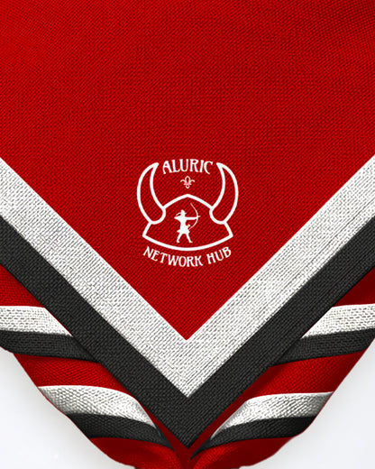 Aluric Network Hub