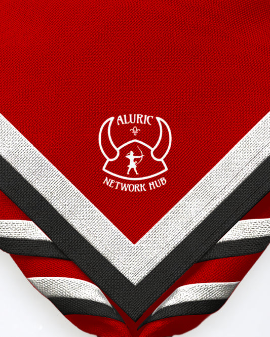 Aluric Network Hub