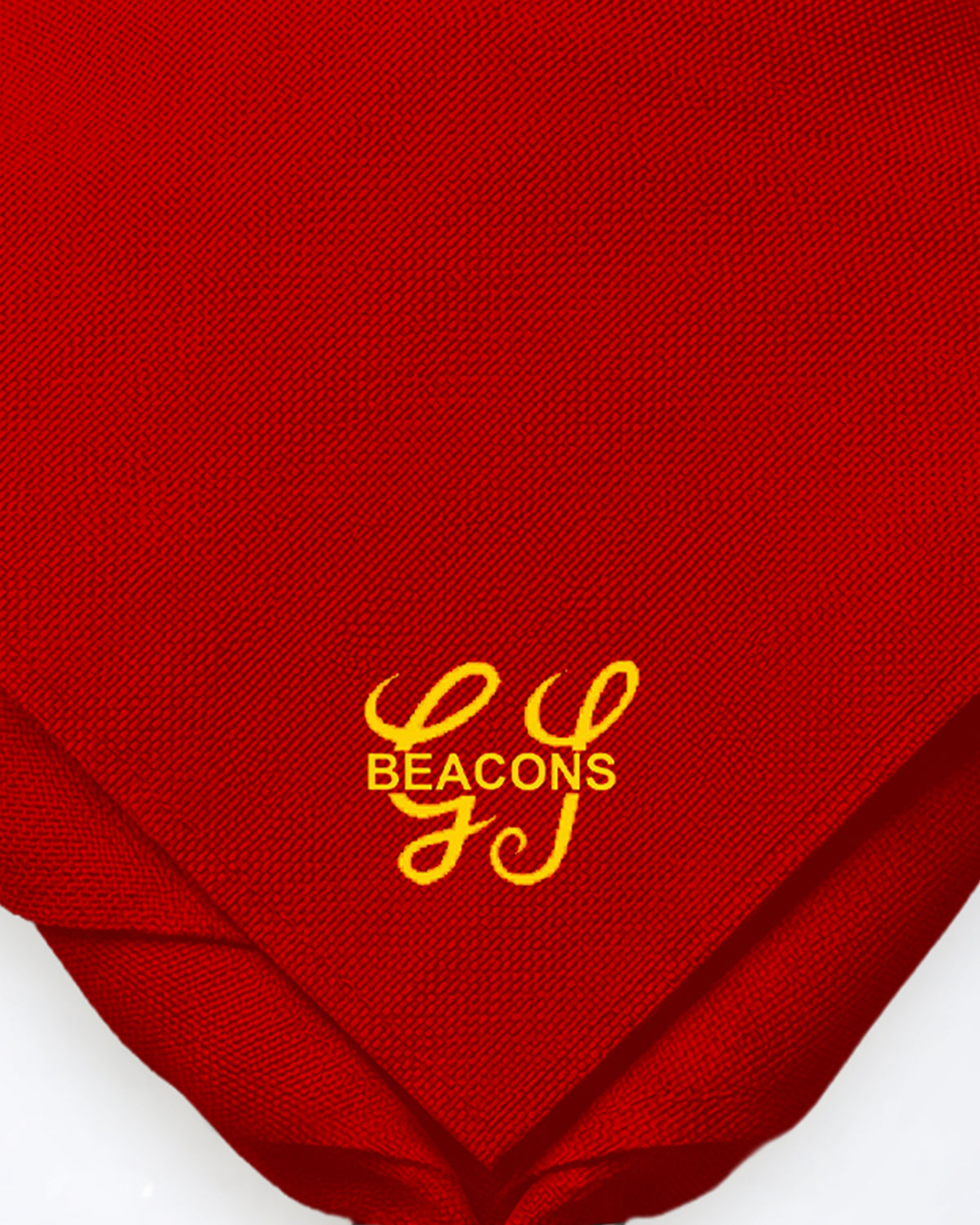 Beacons Gangshow