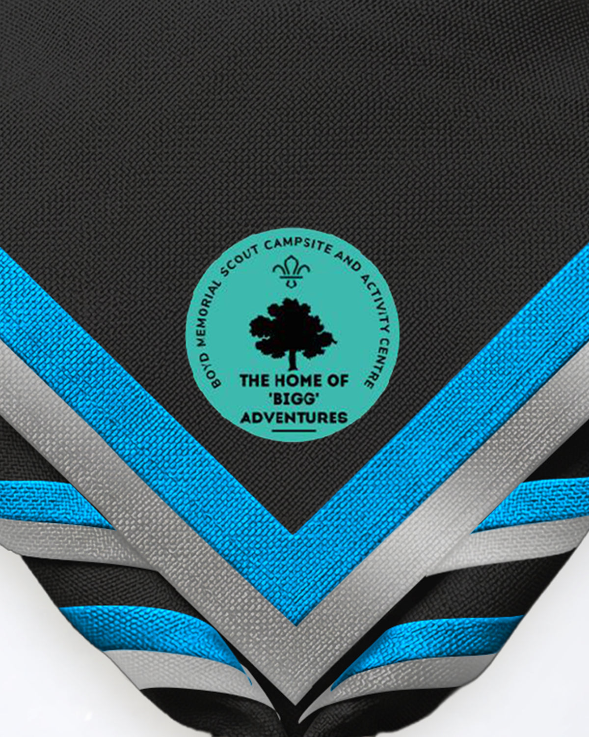 Biggleswade District Scouts