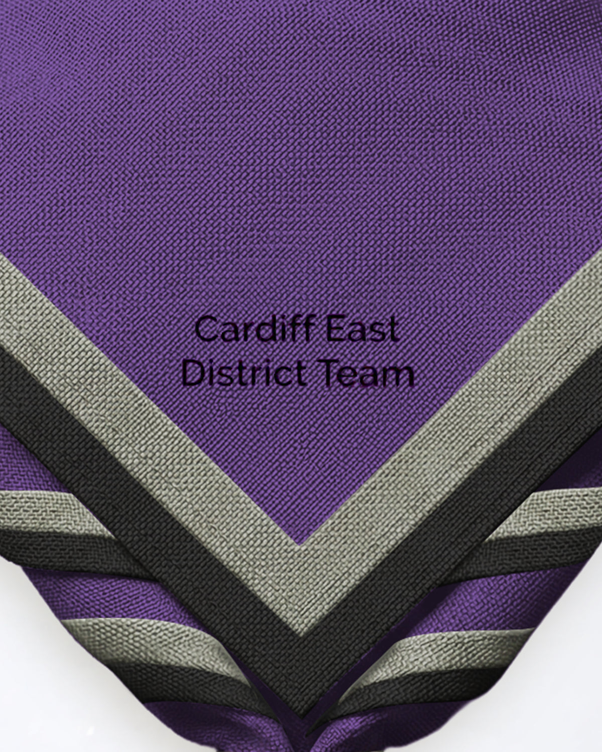 Équipe du district de Cardiff Est