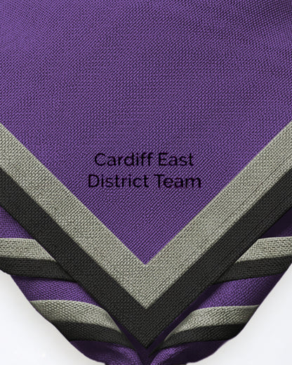 Équipe du district de Cardiff Est