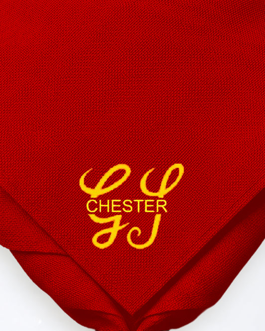 Chester Gangshow