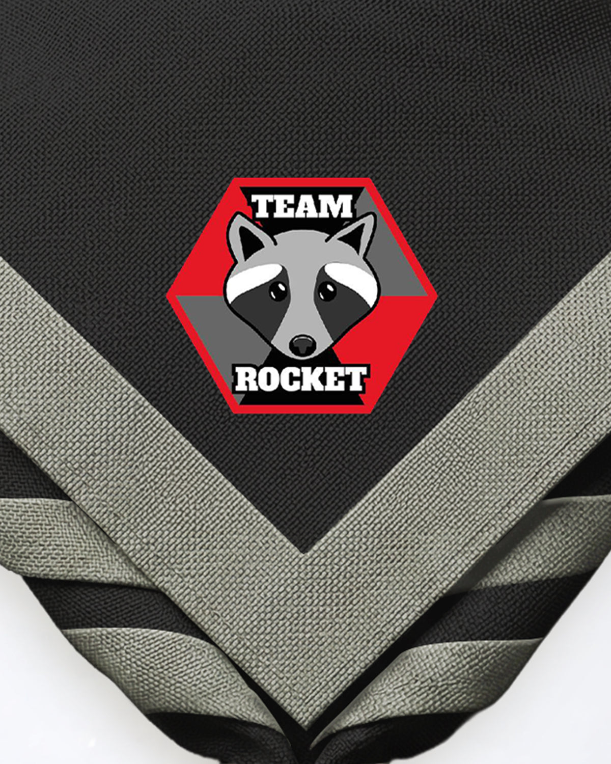 Team Rocket