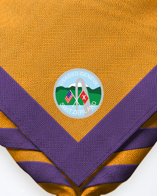 USAGSO Geneva Troop 11