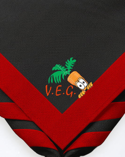 VEG Necker