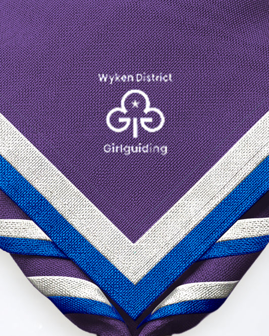 Wyken District