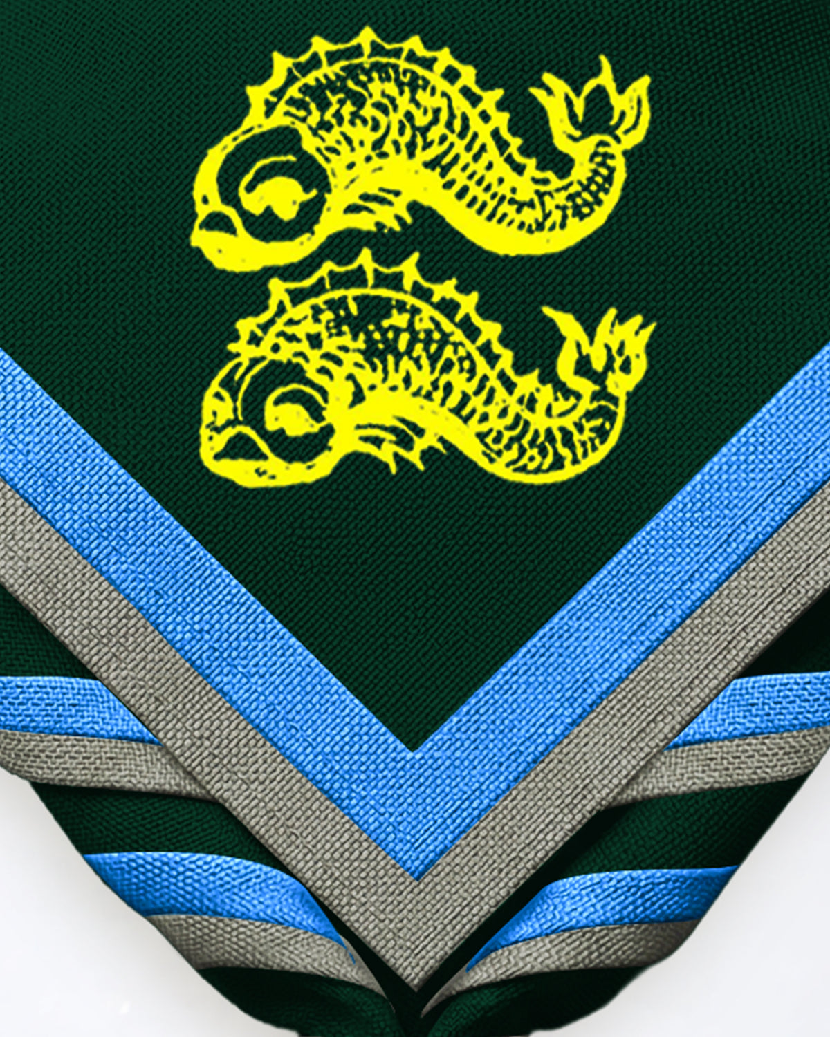 Tetbury Scouts Necker Zoom Necker