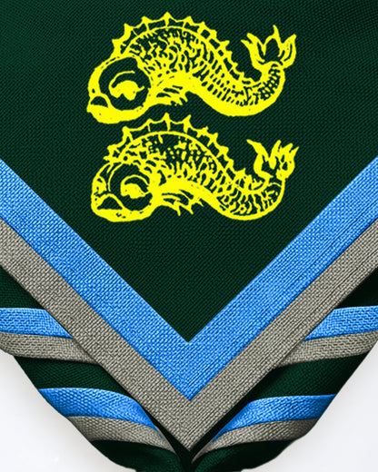 Tetbury Scouts Necker Zoom Necker
